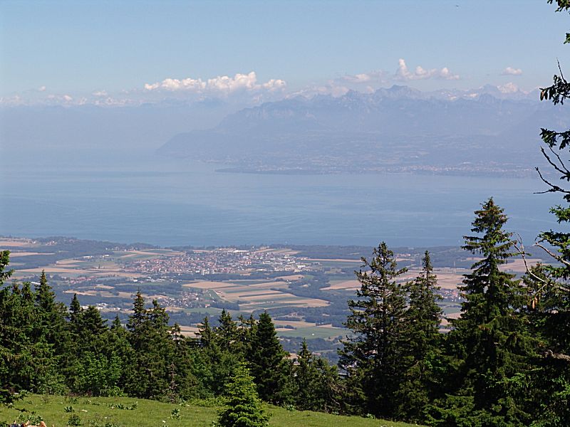 Vue vers le Haut-Lac. Devant le lac: Nyon.
