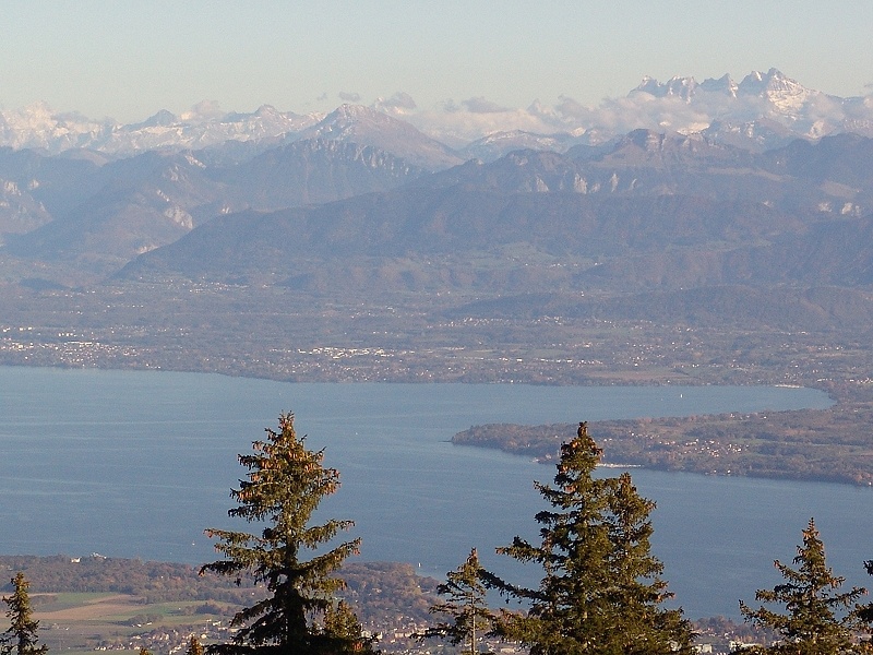 La pointe d'Yvoire et les Dents du Midi
