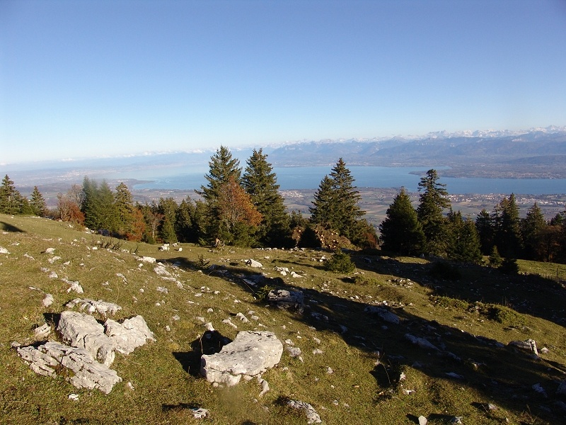 Le Léman de Nyon à Vevey
