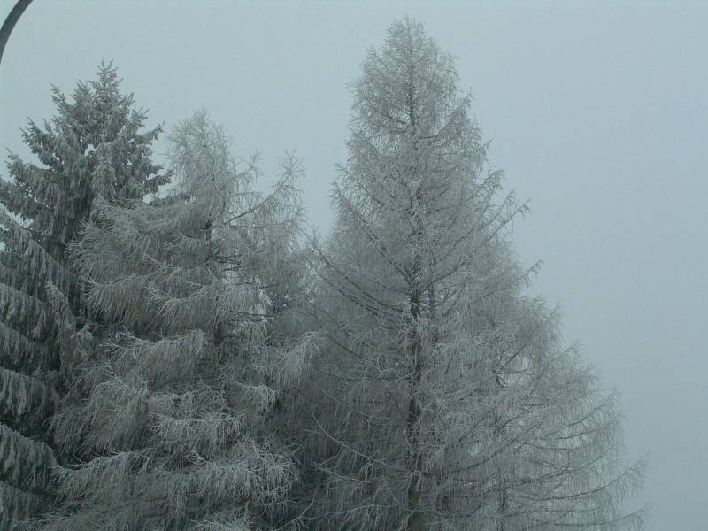 Temps hivernal avec
-6 °C à l'extérieur.
